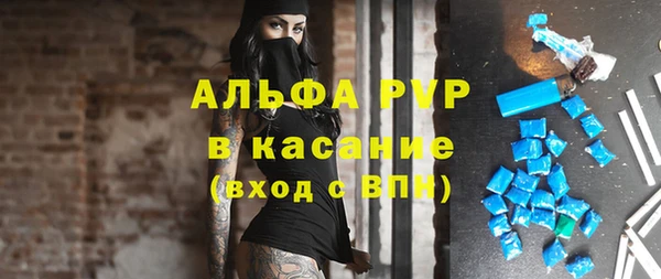 ГАЛЛЮЦИНОГЕННЫЕ ГРИБЫ Вязьма