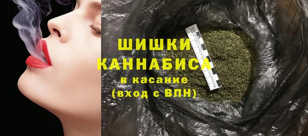 хмурый Яровое